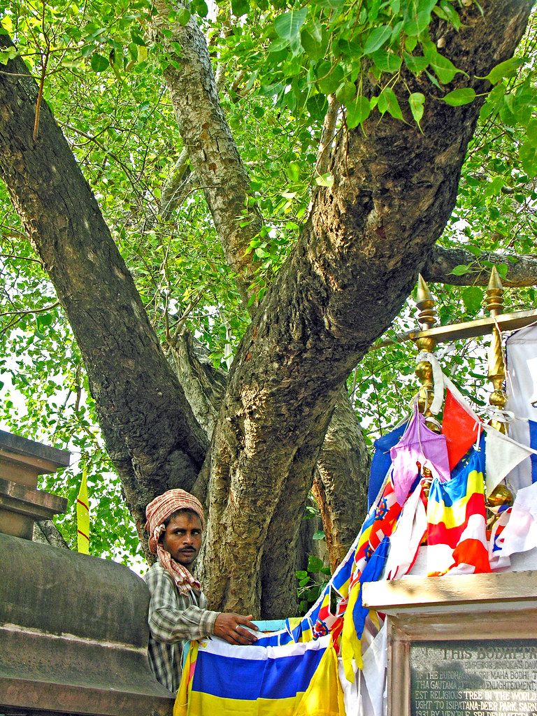 India US ties
