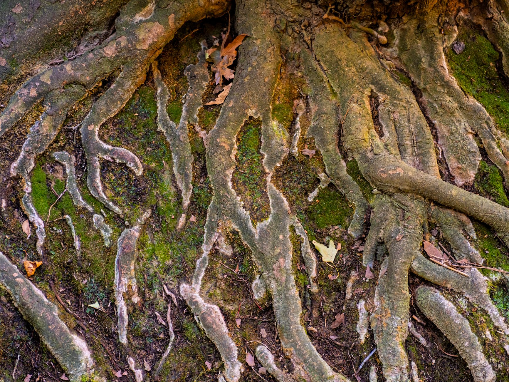 L.L.Bean old-school roots: The proven charm of tradition