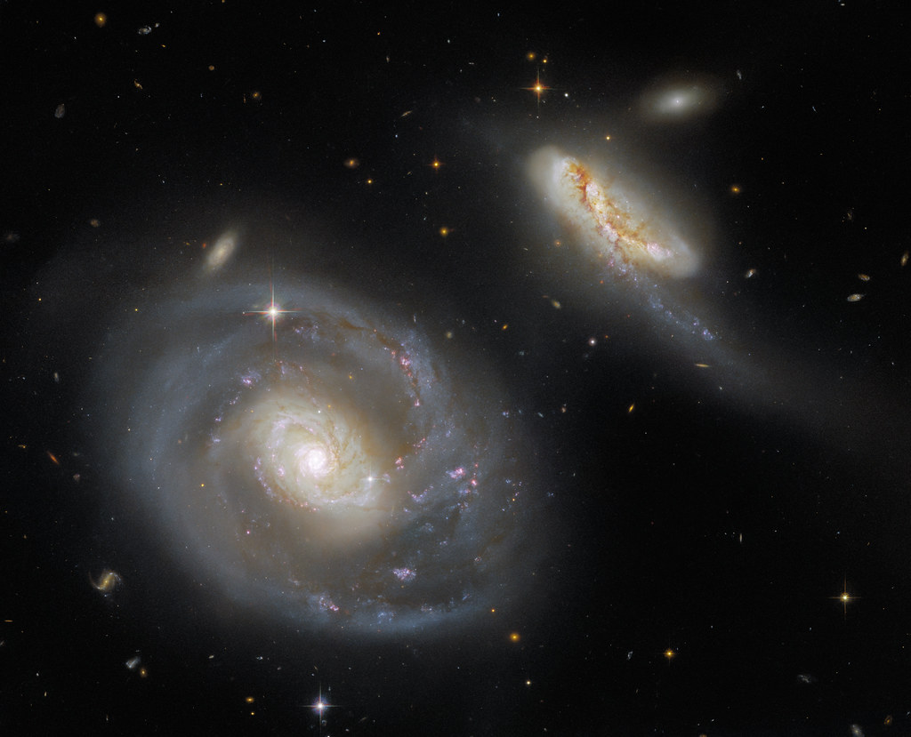 rogue black holes